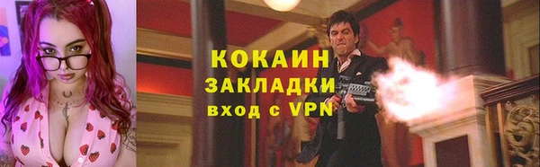 соль ск Мегион