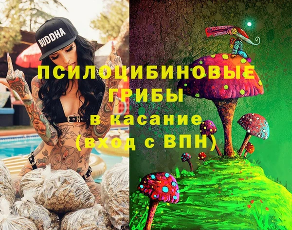 соль ск Мегион