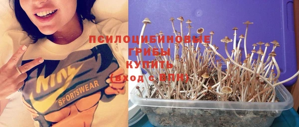 mdma Медвежьегорск